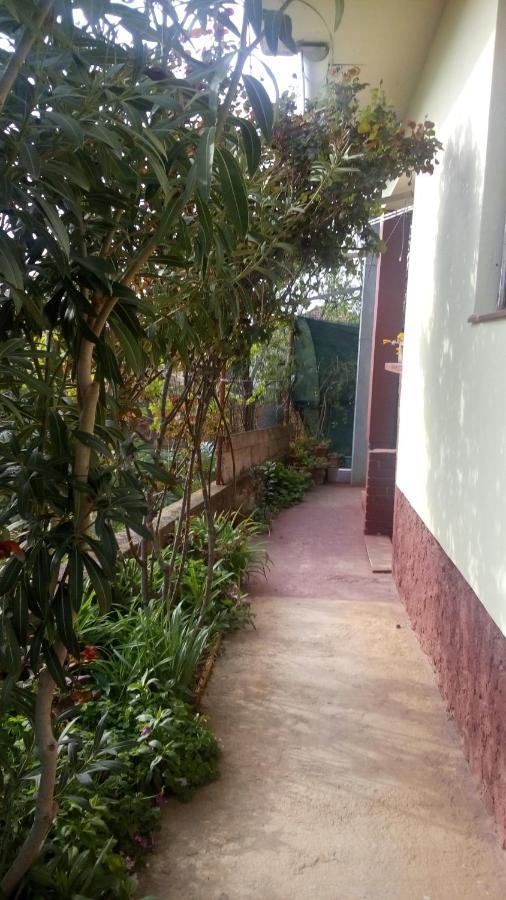 Pero Apartman Villa Sukošan Exterior foto